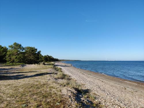 Beach, Mere in Mandjala Beach, Mere in Mandjala