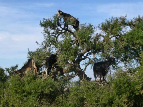 This photo about Residence Fanti shared on HyHotel.com