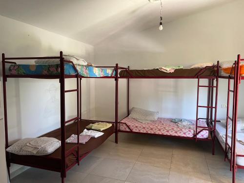 Elbasan Backpacker Hostel in Elbasan Elbasan Backpacker Hostel in Elbasan