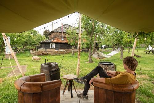 Slapen tussen de schapen in een Tiny Wineyhouse in Dreumel Slapen tussen de schapen in een Tiny Wineyhouse in Dreumel