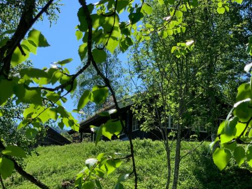 المنظر الخارجي, Kultan in Flatdal المنظر الخارجي, Kultan in Flatdal