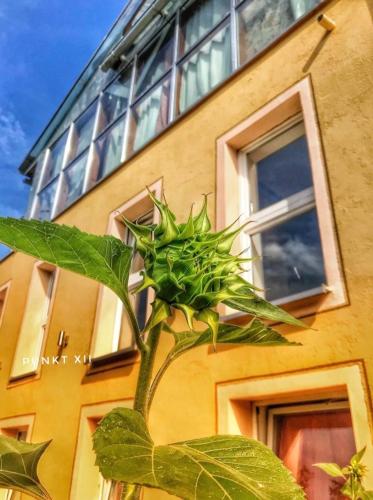 Wohnung 6 und 7 in Burghaslach Wohnung 6 und 7 in Burghaslach