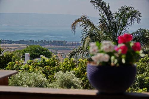 Surrounding environment, Agama in Livnim Surrounding environment, Agama in Livnim