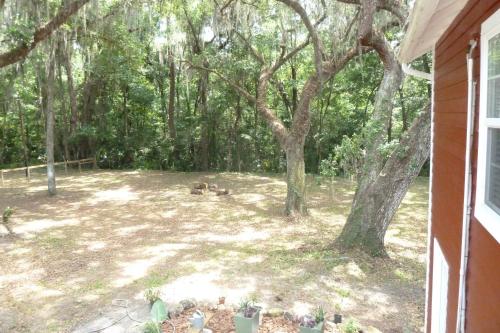 Garden, Micanopy Countyline Cottages in Micanopy (FL) Garden, Micanopy Countyline Cottages in Micanopy (FL)