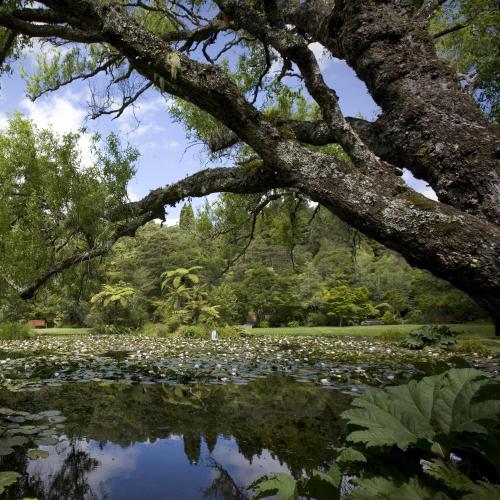 Κήπος, Rapaura Water Gardens Boutique Accommodation in Θέιμς Κήπος, Rapaura Water Gardens Boutique Accommodation in Θέιμς