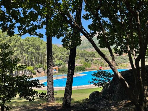 Uitzicht, Casa Árbol (Casa Arbol) in Pedro Bernardo Uitzicht, Casa Árbol (Casa Arbol) in Pedro Bernardo