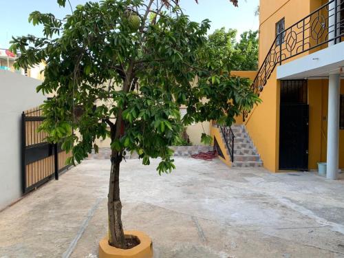 Glamour Hotel in لارومانا Glamour Hotel in لارومانا