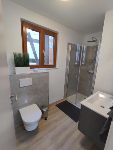 Ferienwohnung Steigner in Dierbach Ferienwohnung Steigner in Dierbach