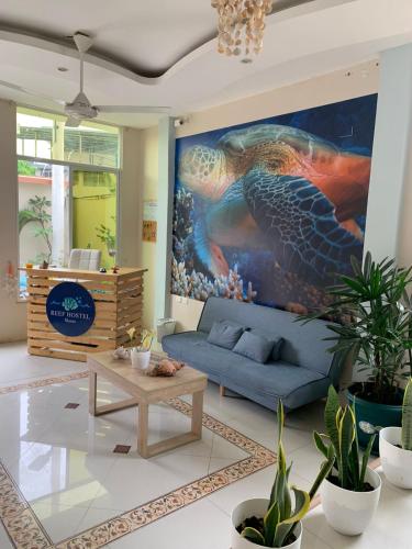 Είσοδος, Reef Hostel Manta in Μάντα Είσοδος, Reef Hostel Manta in Μάντα