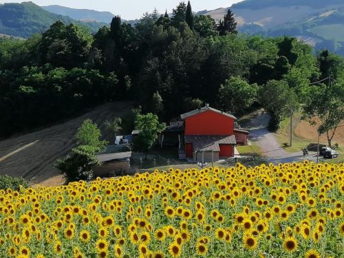 Exterior view, Cozy holiday home in the charming Urbino countryside in San Lorenzo In Campo Exterior view, Cozy holiday home in the charming Urbino countryside in San Lorenzo In Campo
