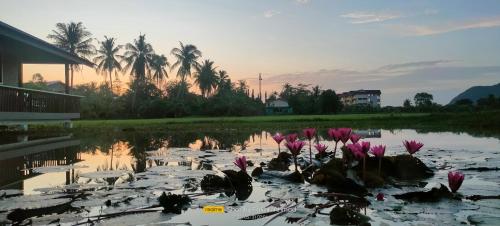 景觀, Bungalow Mat Hj Limah in 彭丹 景觀, Bungalow Mat Hj Limah in 彭丹