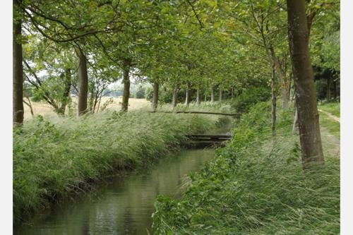 This photo about B&B De Watering shared on HyHotel.com