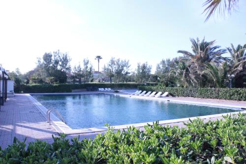 Swimming pool, Torre Del Sole in Tarquinia Swimming pool, Torre Del Sole in Tarquinia