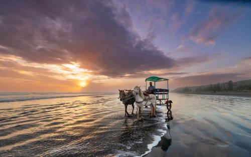 設施, Lotus an Eco Beach Resort Dapoli Murud in 達博利 設施, Lotus an Eco Beach Resort Dapoli Murud in 達博利