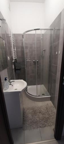 Ali 3 in سوسنوفيتش Ali 3 in سوسنوفيتش