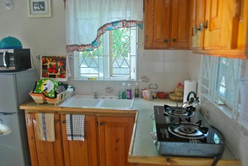 cuina, Cozy Villa in Oracabessa cuina, Cozy Villa in Oracabessa