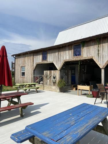 Lobby, Peachbarn Winery & Cafe in Makanda (IL) Lobby, Peachbarn Winery & Cafe in Makanda (IL)