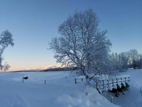 Villmarksgård tømmerstue (Villmarksgard tømmerstue) in ฮัทท์ฟเยลล์ดัล Villmarksgård tømmerstue (Villmarksgard tømmerstue) in ฮัทท์ฟเยลล์ดัล