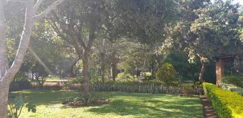 Garten, Barefoot Lodge and Safaris - Malawi in Lilongwe Garten, Barefoot Lodge and Safaris - Malawi in Lilongwe