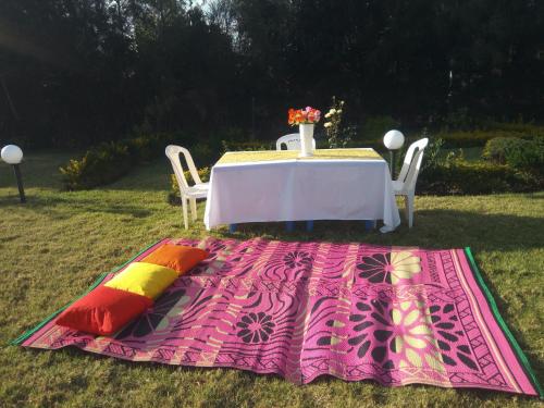Garden, The kioka gardens 2 bedroom stand alone in Nanyuki Garden, The kioka gardens 2 bedroom stand alone in Nanyuki