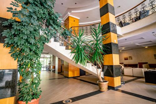 로비, Izola Paradise Hotel - All Inclusive in 네세바르 로비, Izola Paradise Hotel - All Inclusive in 네세바르