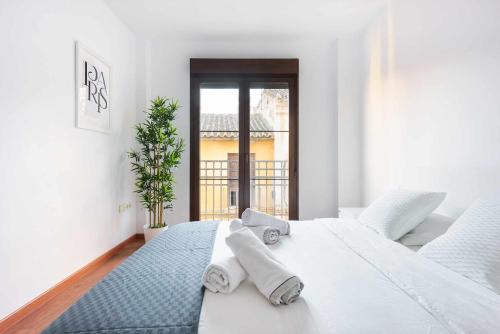 Newly renovated apartment with terrace in the center