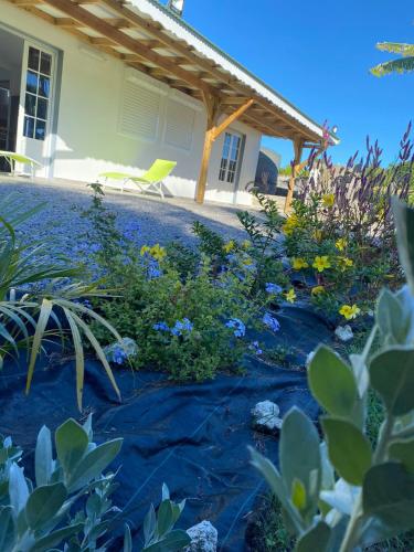 LES GITES DE BIBINE gites tout confort coin calme et tranquille in Capesterre-de-Marie-Galante LES GITES DE BIBINE gites tout confort coin calme et tranquille in Capesterre-de-Marie-Galante