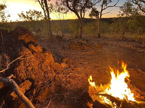 Vista, Gorge View Bush Retreat : Katherine NT in Katherine Vista, Gorge View Bush Retreat : Katherine NT in Katherine