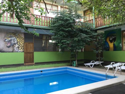 Piscine, Tambopata Hostel in Puerto Maldonado Piscine, Tambopata Hostel in Puerto Maldonado