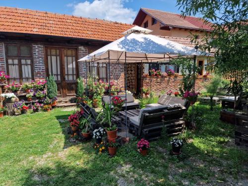 Old Court in Curtea De Arges Old Court in Curtea De Arges