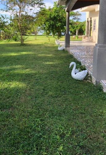 Équipements, Champagne Villa in Whitehouse Équipements, Champagne Villa in Whitehouse