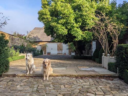 Beautiful guest house in a Cotswolds village in Shutford Beautiful guest house in a Cotswolds village in Shutford