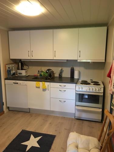 Asgardane Gjestegard in Gol Asgardane Gjestegard in Gol