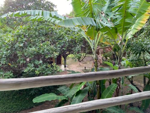 Villas Pratagy Resort in 马塞约 Villas Pratagy Resort in 马塞约
