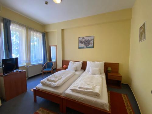 Tisza Alfa Hotel in Szeged Tisza Alfa Hotel in Szeged