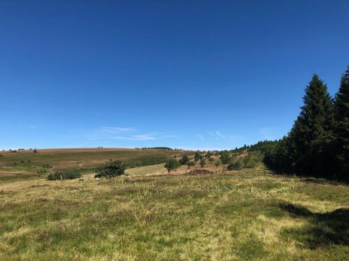 CHARMANT CHALET dans les monts du Forez in Saint-Antheme CHARMANT CHALET dans les monts du Forez in Saint-Antheme