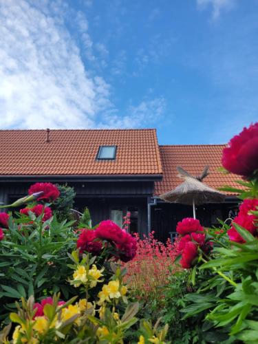 Viesu maja Zvilnis in Pavilosta Viesu maja Zvilnis in Pavilosta