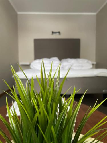 Trysilfjell Apartment Hotel in Трісіл Trysilfjell Apartment Hotel in Трісіл