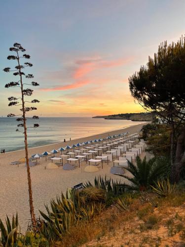 Вид, Marsuites in Сільвес Вид, Marsuites in Сільвес