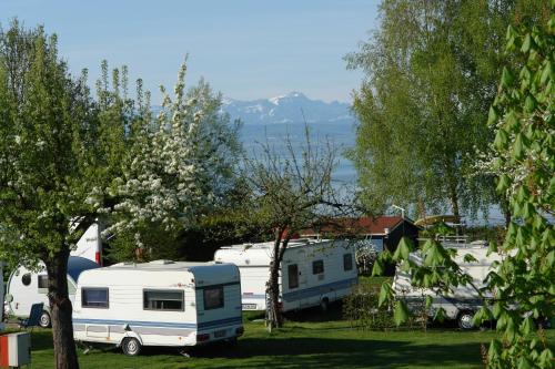 CAP Rotach in Friedrichshafen CAP Rotach in Friedrichshafen