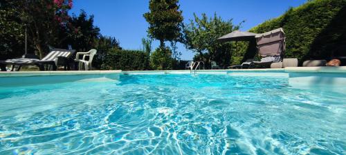 Swimming pool, apartment in villa surrounded by greenery with swimming pool reserved area but s in Monte San Vito Swimming pool, apartment in villa surrounded by greenery with swimming pool reserved area but s in Monte San Vito
