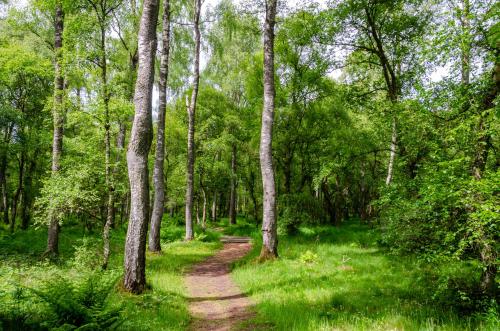 Drumshademuir Caravan & Camping Park in Kirriemuir Drumshademuir Caravan & Camping Park in Kirriemuir