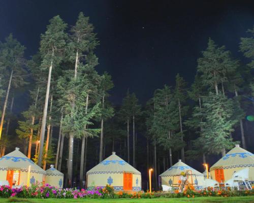 The Glamping Spot Kalam in Drosh The Glamping Spot Kalam in Drosh
