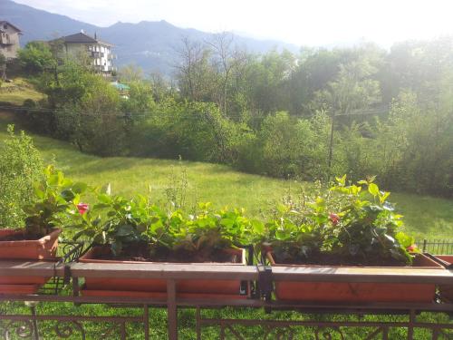 View, I Tre Ciliegi Apartment in Sant'Omobono Terme View, I Tre Ciliegi Apartment in Sant'Omobono Terme
