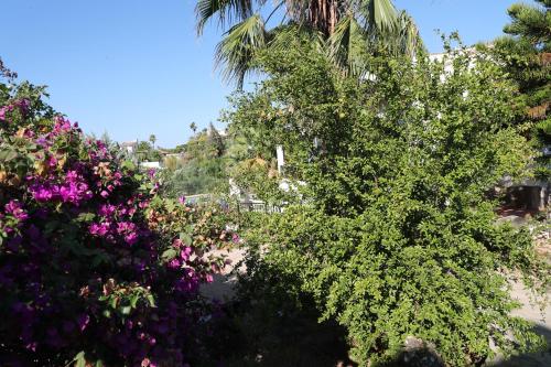 La Casita - with a unique panoramic view in Monte Pego La Casita - with a unique panoramic view in Monte Pego
