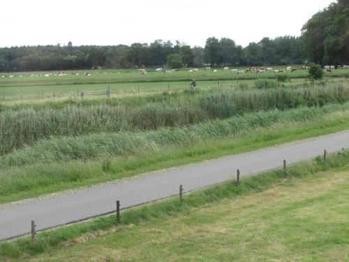 Surrounding environment, De Steerne, mooie plek aan het Overijssels kanaal. in Schalkhaar Surrounding environment, De Steerne, mooie plek aan het Overijssels kanaal. in Schalkhaar