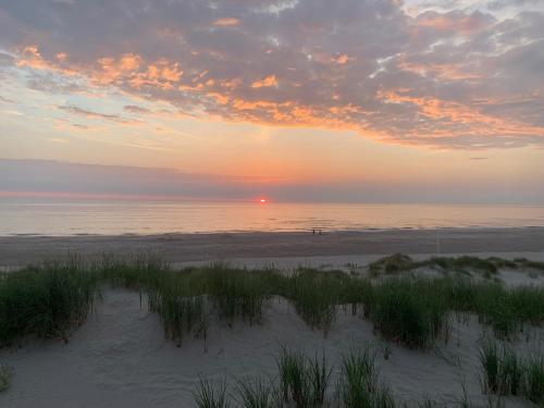 Vogelvrij, vakantie woning met landelijk uitzicht en geheel omheinde tuin in Burgerbrug Vogelvrij, vakantie woning met landelijk uitzicht en geheel omheinde tuin in Burgerbrug