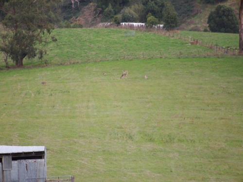 This photo about Vivere Retreat shared on HyHotel.com