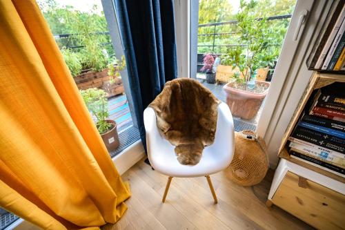 View, L'Olympique: appartement cosy, vue canal grande terrasse et parking in Vaires-sur-Marne View, L'Olympique: appartement cosy, vue canal grande terrasse et parking in Vaires-sur-Marne