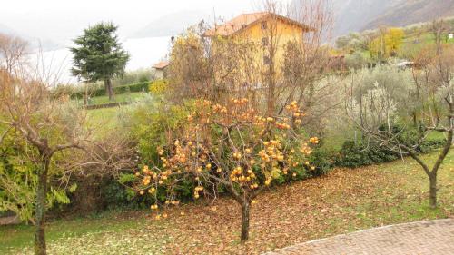 This photo about B&B Garden shared on HyHotel.com